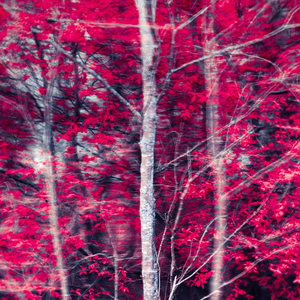 Chery (Instrumental)