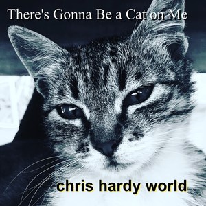 There's Gonna Be a Cat on Me