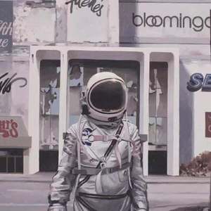 晚夜微雨问海棠