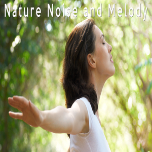 Nature Noise and Melody