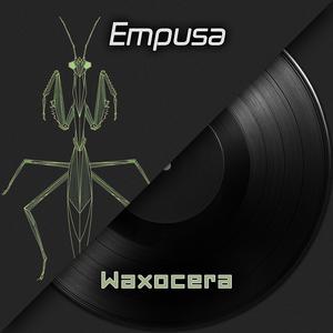 Empusa (Conehead Mantises)