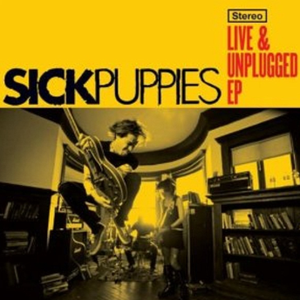 Pretender (Acoustic)