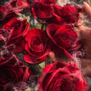 Good Morning Beautiful