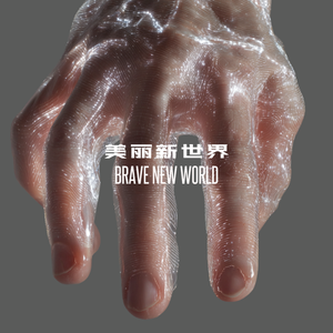 美丽新世界