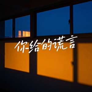 你给的谎言