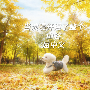 当浪漫开遍了整个山谷