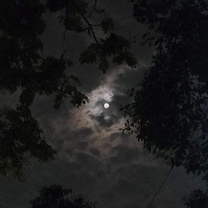 Beyond the Dying Sky