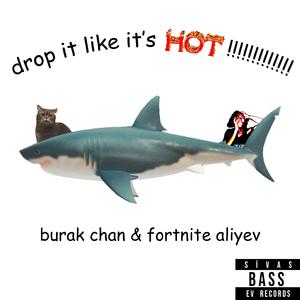 DROP IT LIKE IT'S HOT!!!