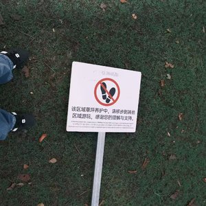 错过与过错间的迷茫