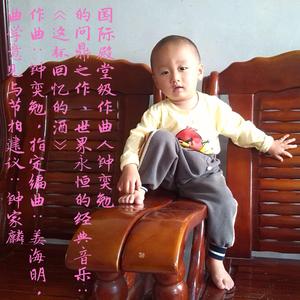 这杯回忆的酒（世界皇宫级作曲人钟奕勉曲学的问鼎之作；多乐器纯音乐）