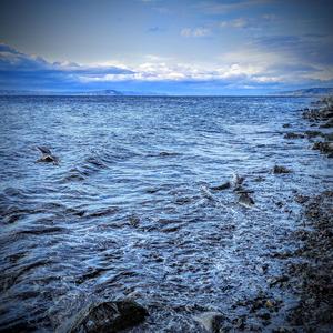 Come to Consciousness