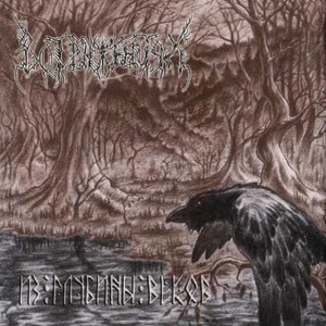 Прозрачные волны холодной воды