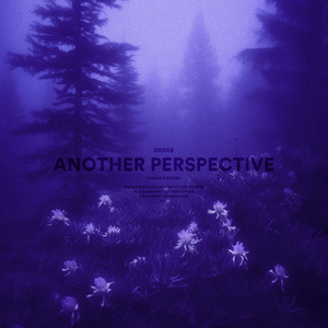 another perspective (slowed + reverb)