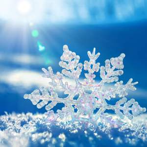 雪夜迷蹤 ～ Lost in Snow