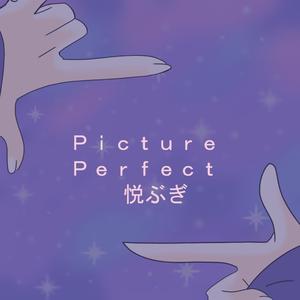 Picture Perfect