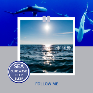 아직도 바다의 끝은 누구도 가본적 없는 시크릿에어리어