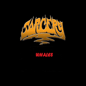 Whales