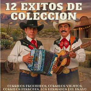 Hechizado