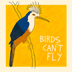 Birds Can't Fly
