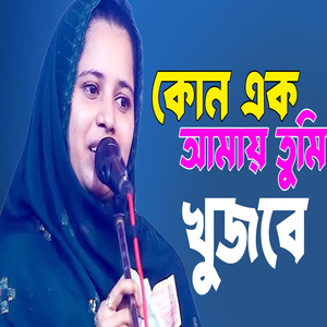 কোন এক দিন আমায় তুমি খুজবে