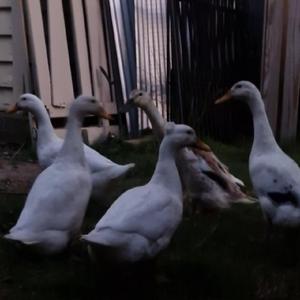 Every Single Mile (My Sonnet)