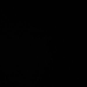 柏丽酒店电池失踪案