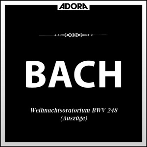 Weihnachtsoratorium für Orchester und Chor, BWV 248, "Am Sonntag nach Neujahr": Wo ist der neugebor'ne König der Juden