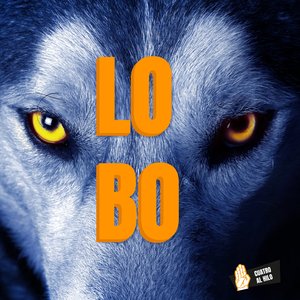 Lobo