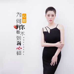 为何你看不到我心碎( (Dj何鹏版)