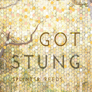 3 Songs, 3 Interludes: Bee