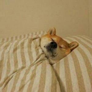 你不在（remix）【爱情公寓】片尾曲(（翻自 EnjiA (魏恩佳)）