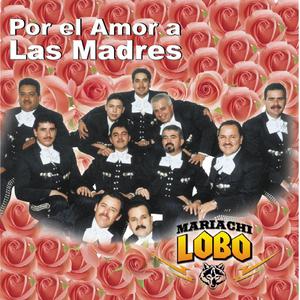 Perdón Jefecita
