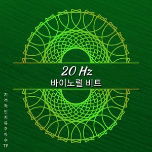 20 Hz - 전신 치유