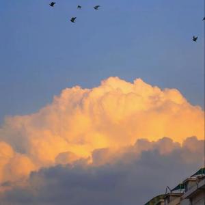 你是我六点十分的想念