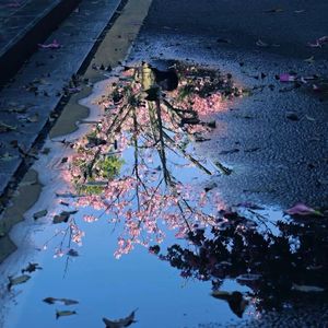 Tôi Vẫn Có Thể(我还是忘不掉你呀)