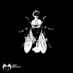 Reintegration (Original Mix)