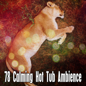 Tea in the Chinese Gardens