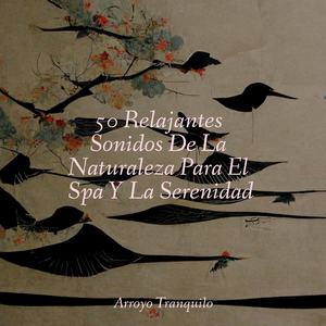 Corrientes Tortuosas