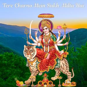 Tere Charno Mein Sukh Milta Hai | Mata Bhajan | Navratri Bhajan | Bhakti song