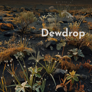 Dewdrop