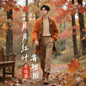 片片红叶寄祖国