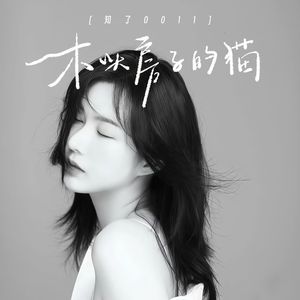 木头房子的猫（伴奏）