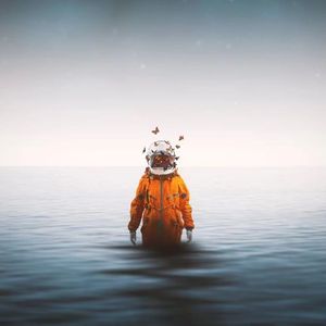 [NOT FREE]破碎之花