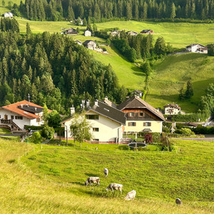 我们打着光脚在风车下跑，手上的狗尾巴草摇啊摇