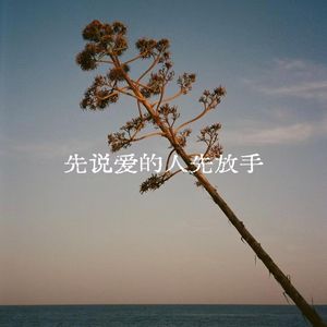 先说爱的人先放手