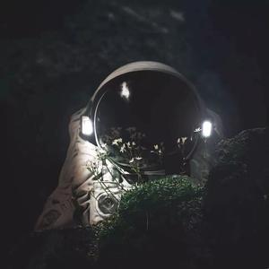 两个人不等于我们