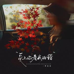 爱上你是我的错