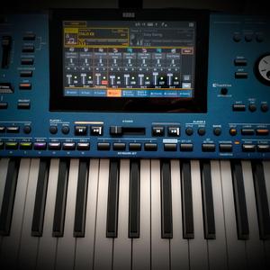 New Italo Disco Style (Flute Theme & Danekoo1)
