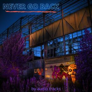NEVER GO BACK