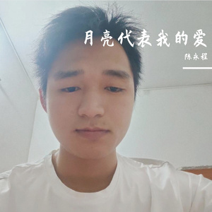 月亮代表我的心